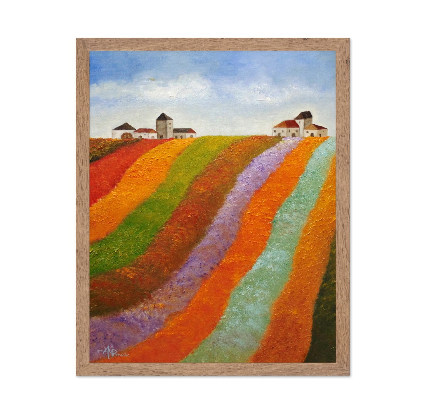 Colorful Field Hills