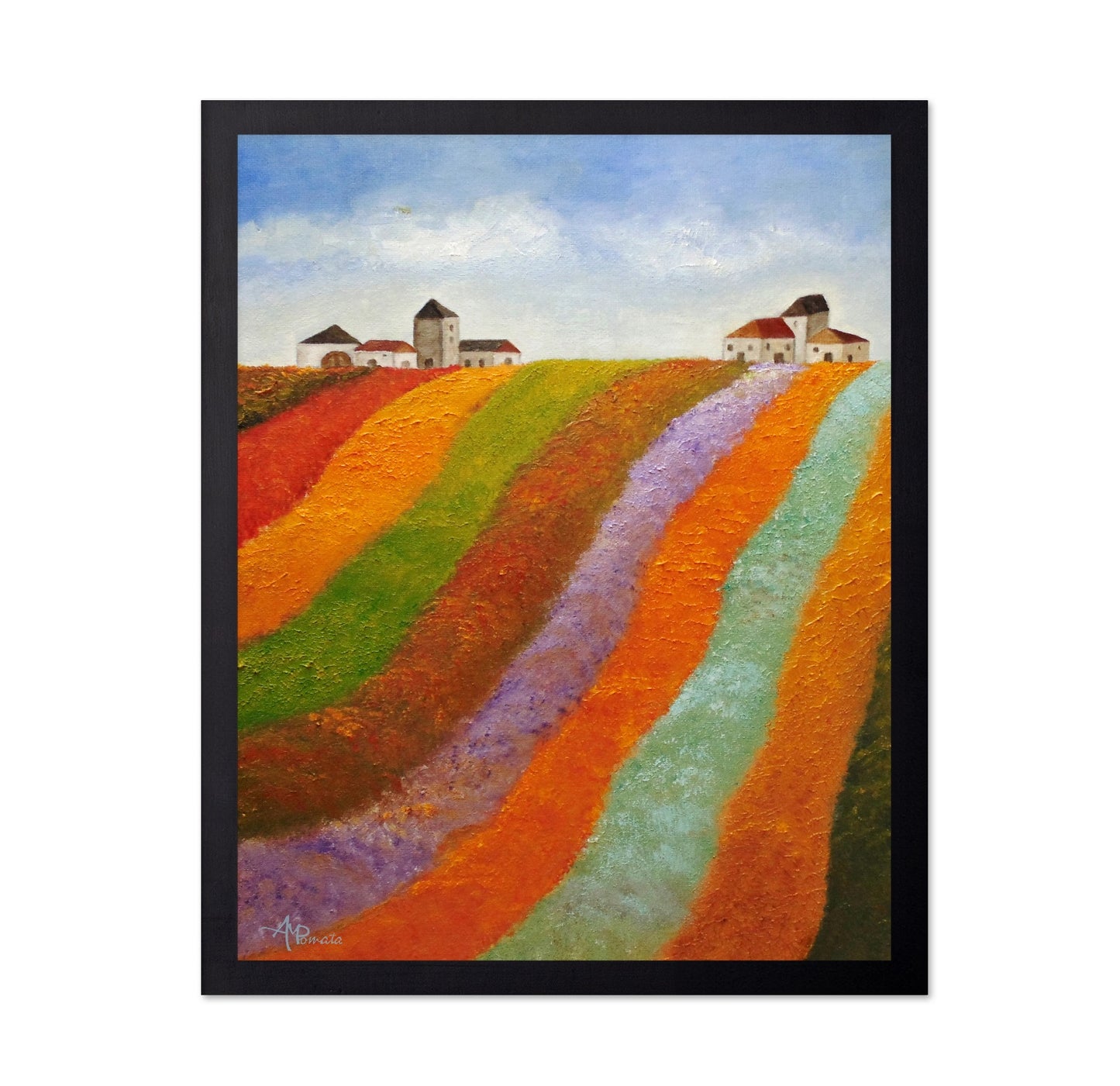Colorful Field Hills