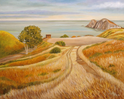 Coastal Field Path
