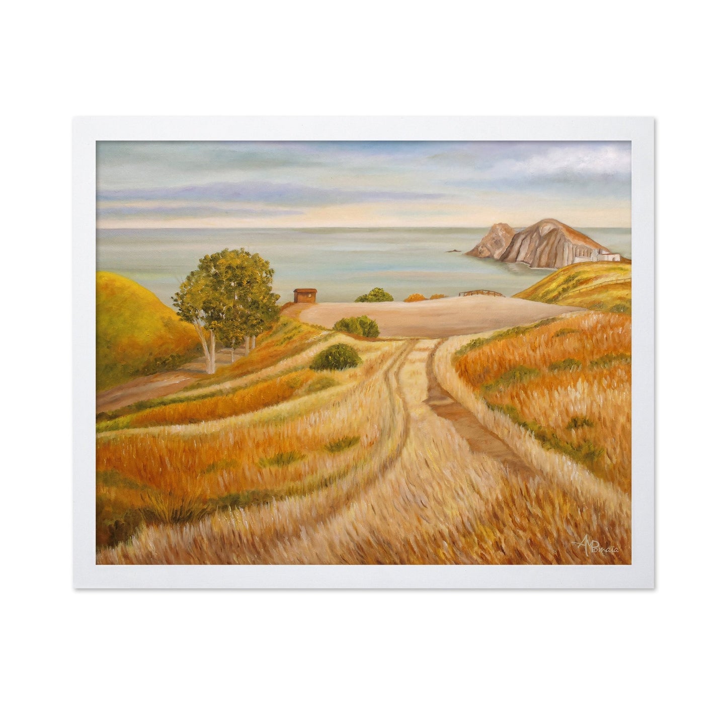 Coastal Field Path