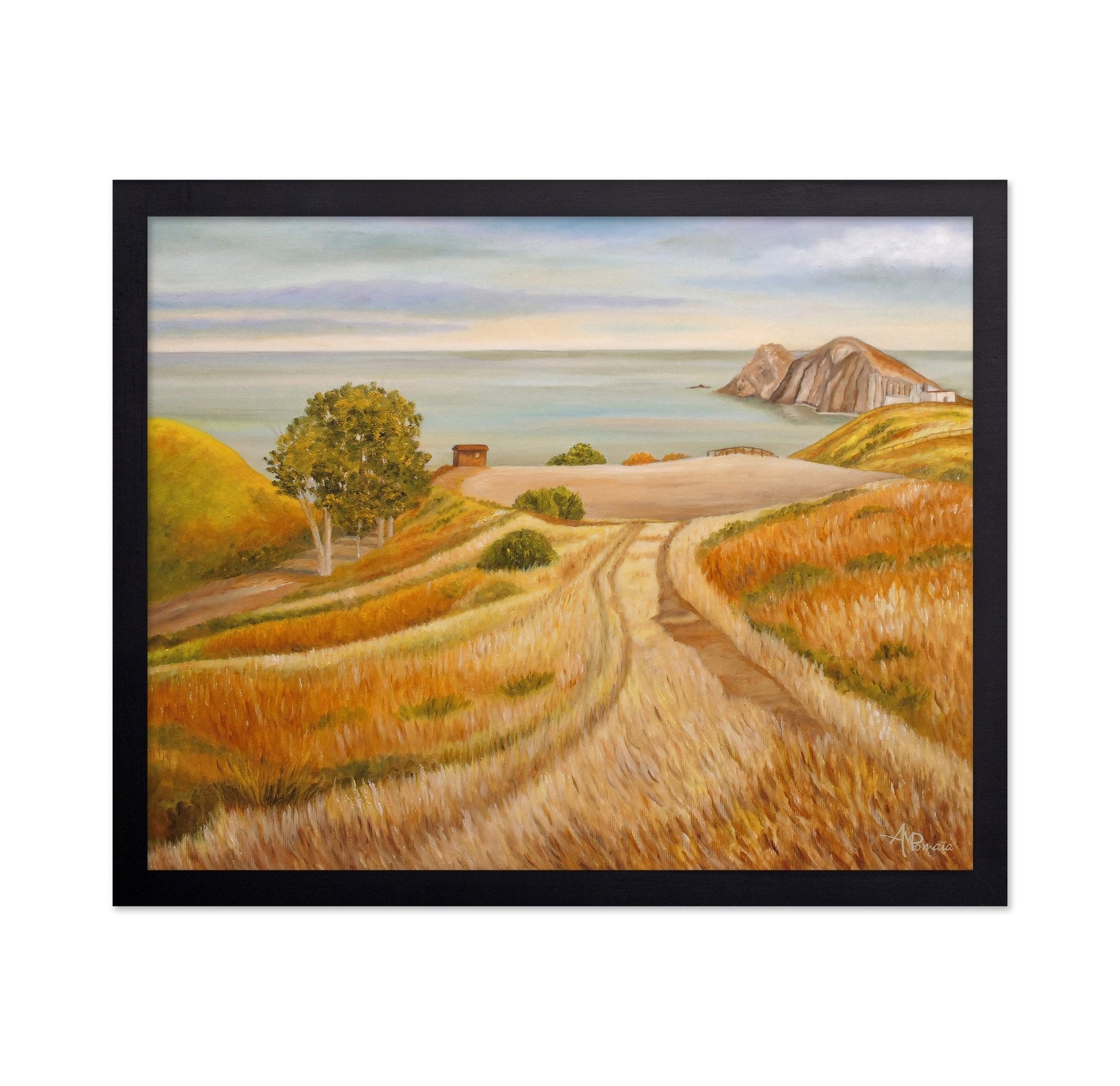 Coastal Field Path