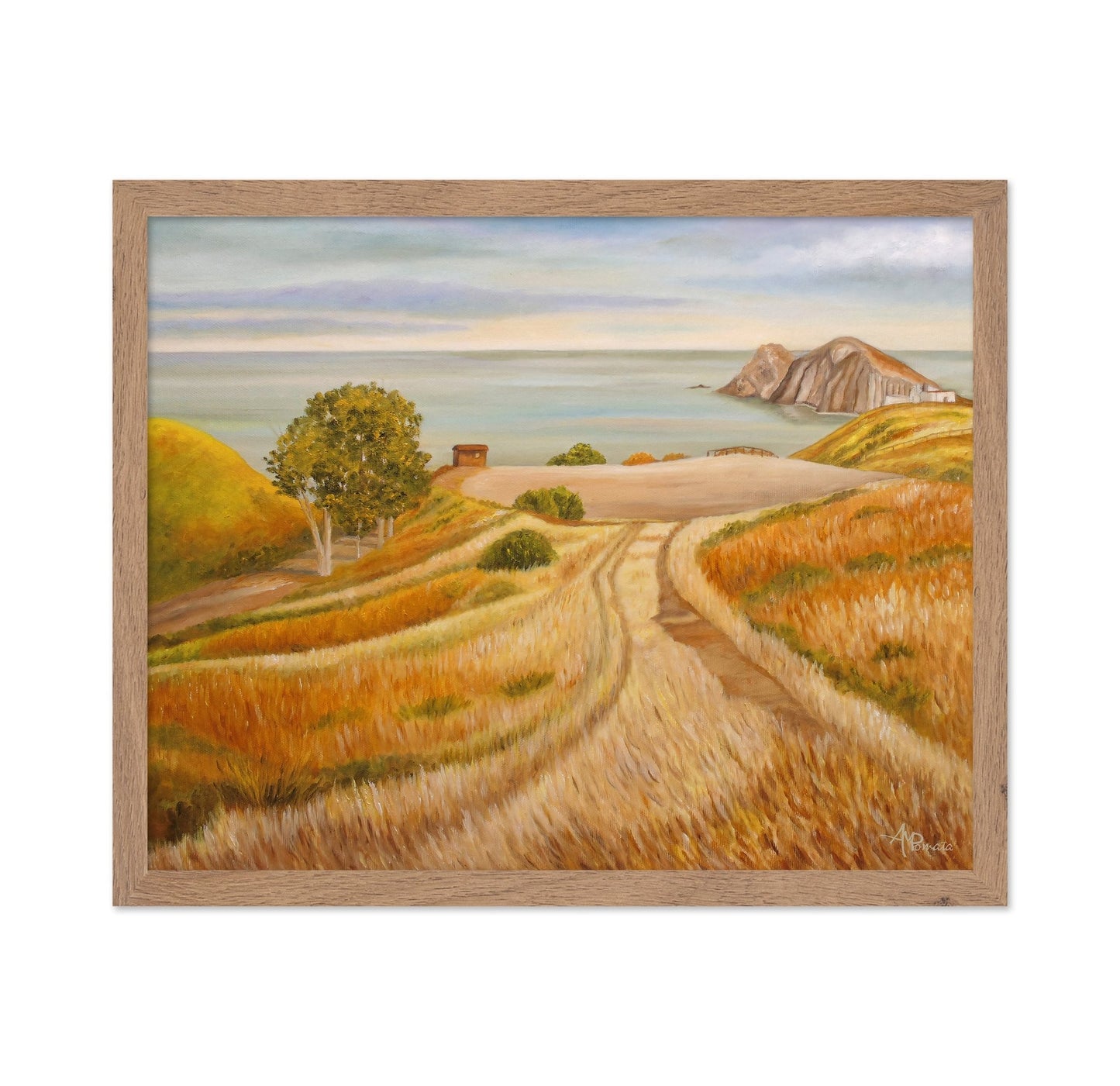 Coastal Field Path