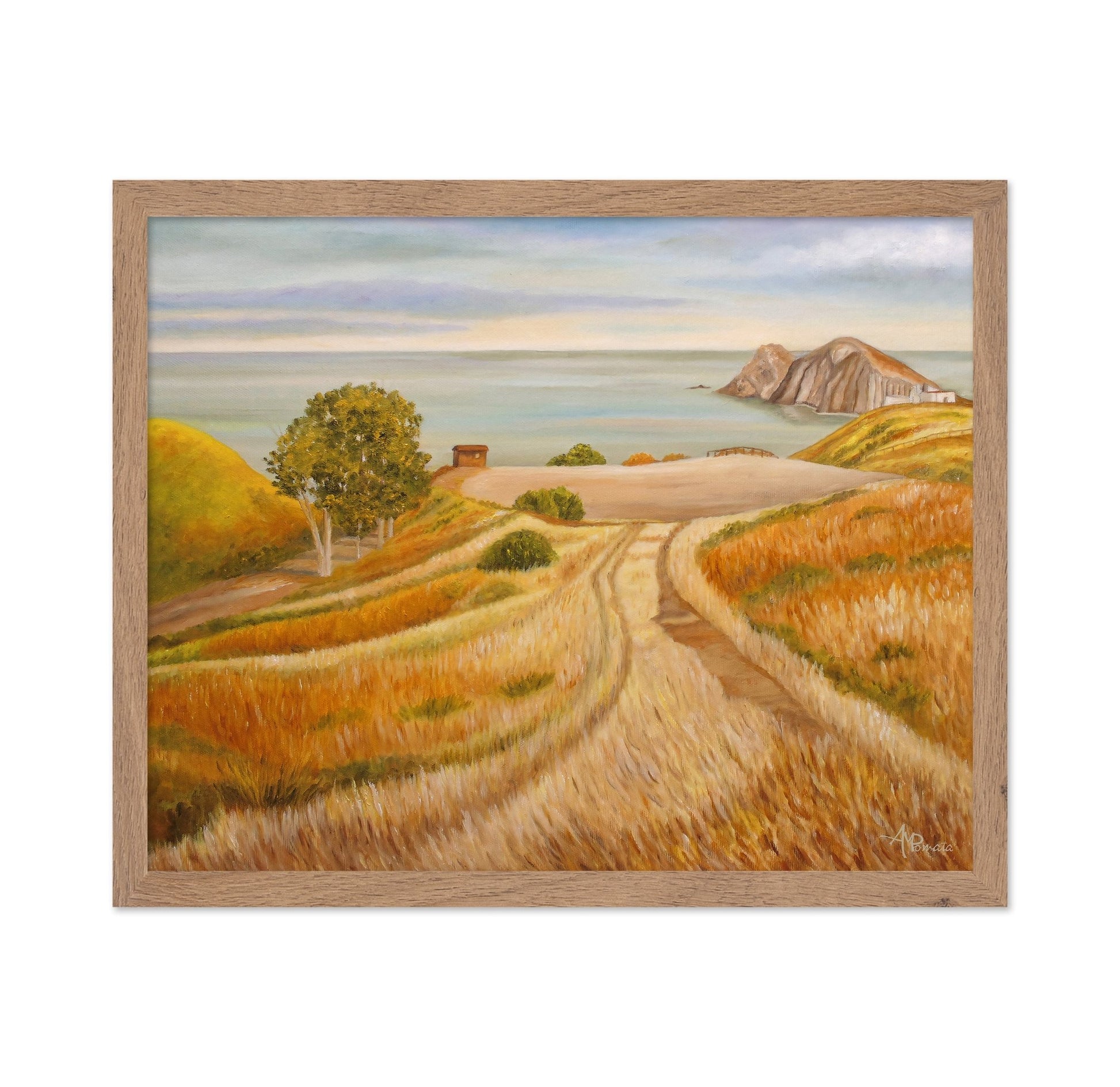 Coastal Field Path