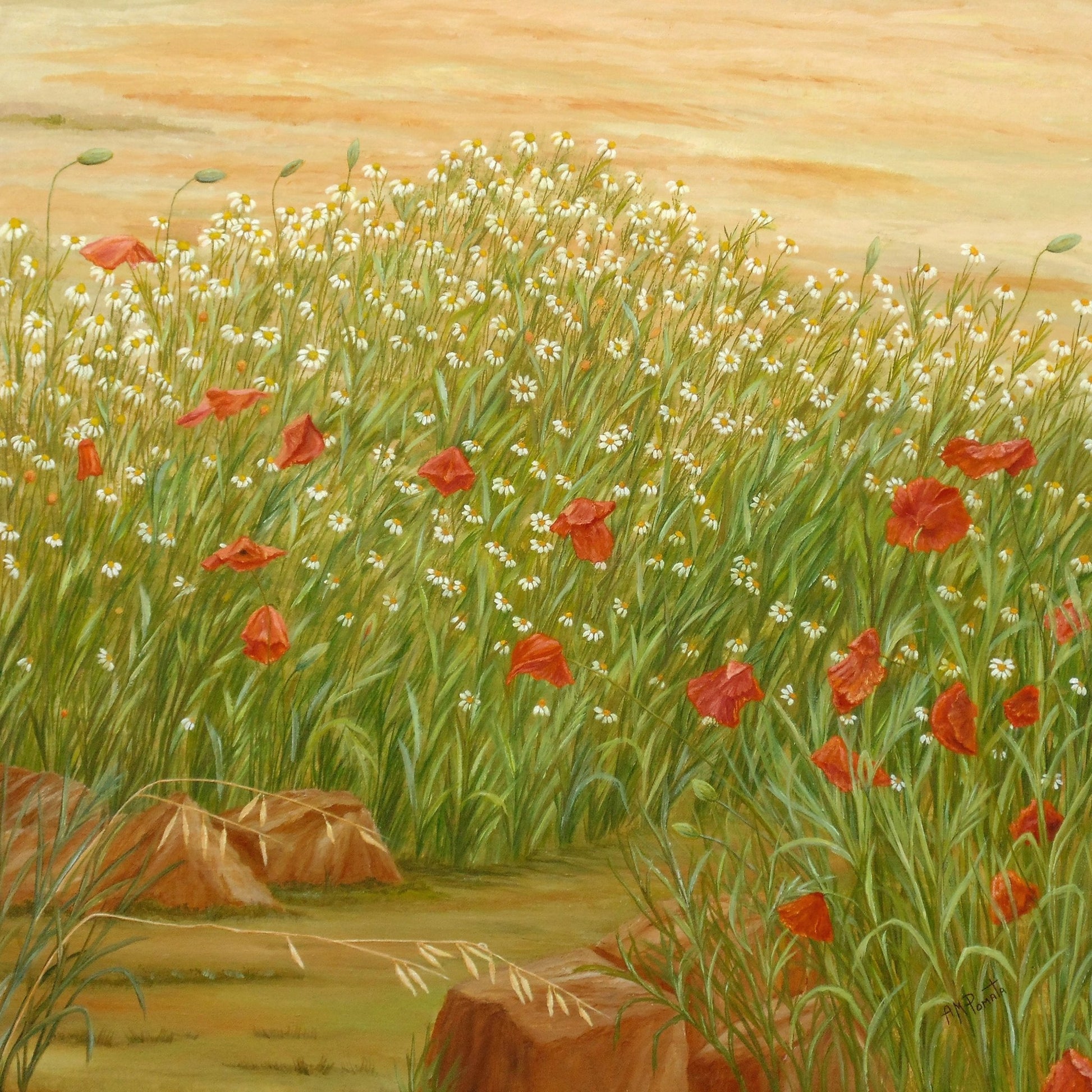 Daisy Poppy Meadow