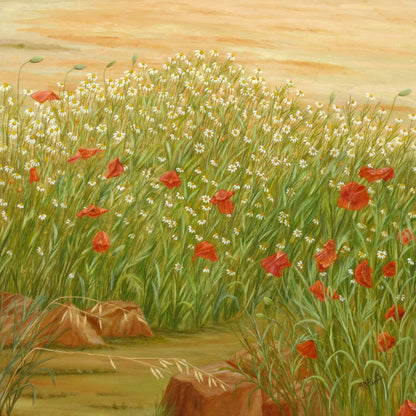 Daisy Poppy Meadow