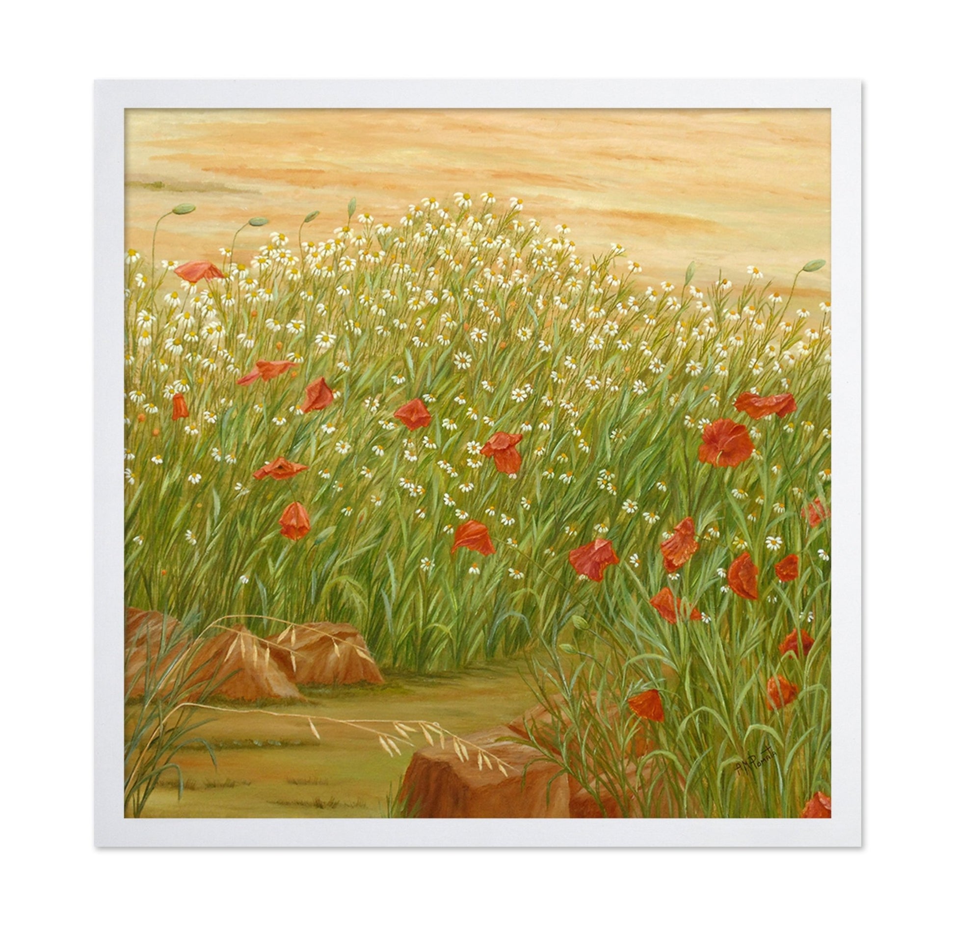 Daisy Poppy Meadow