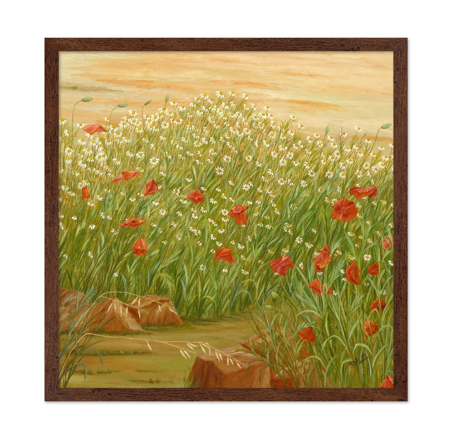 Daisy Poppy Meadow