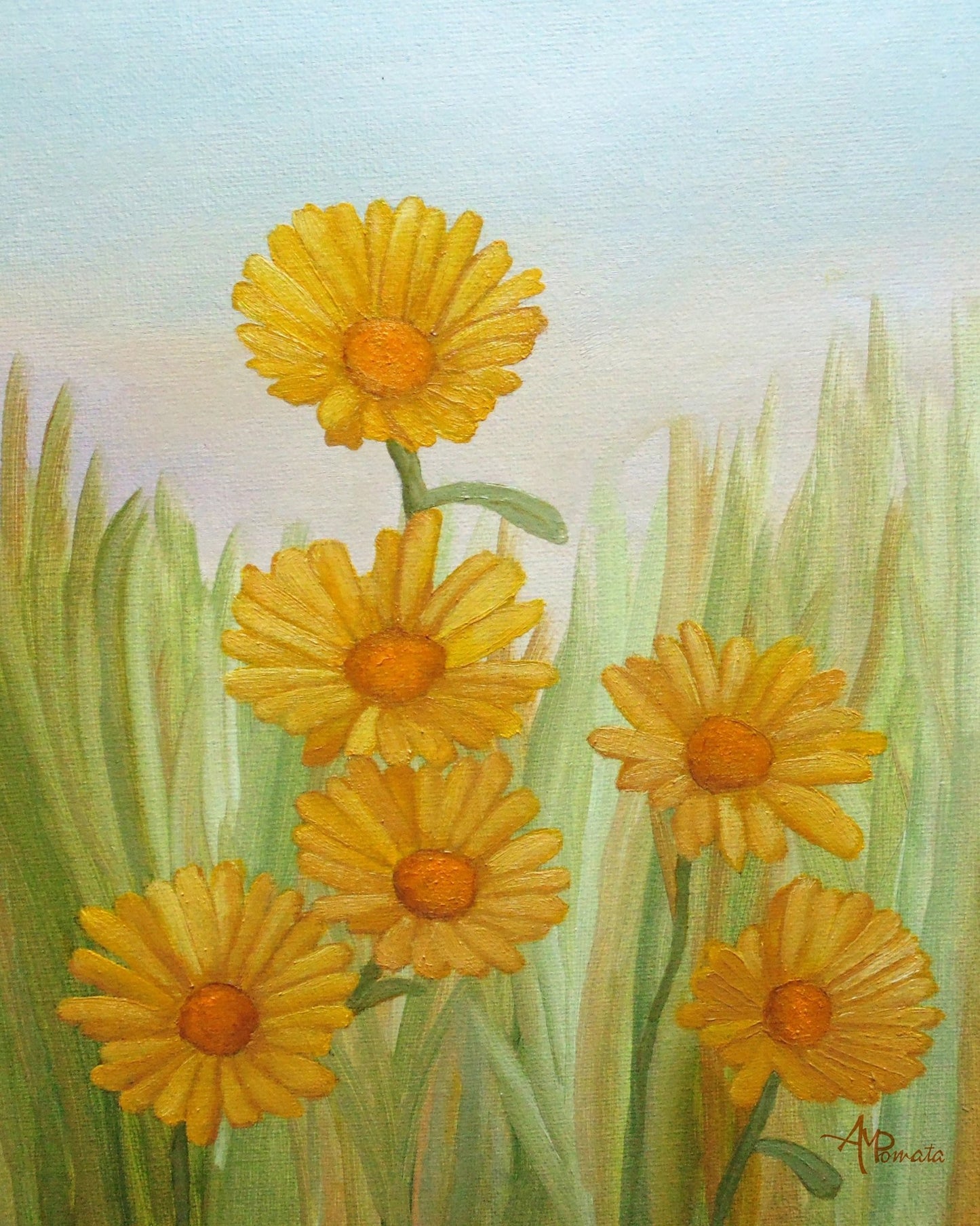 Yellow Daisy Meadow