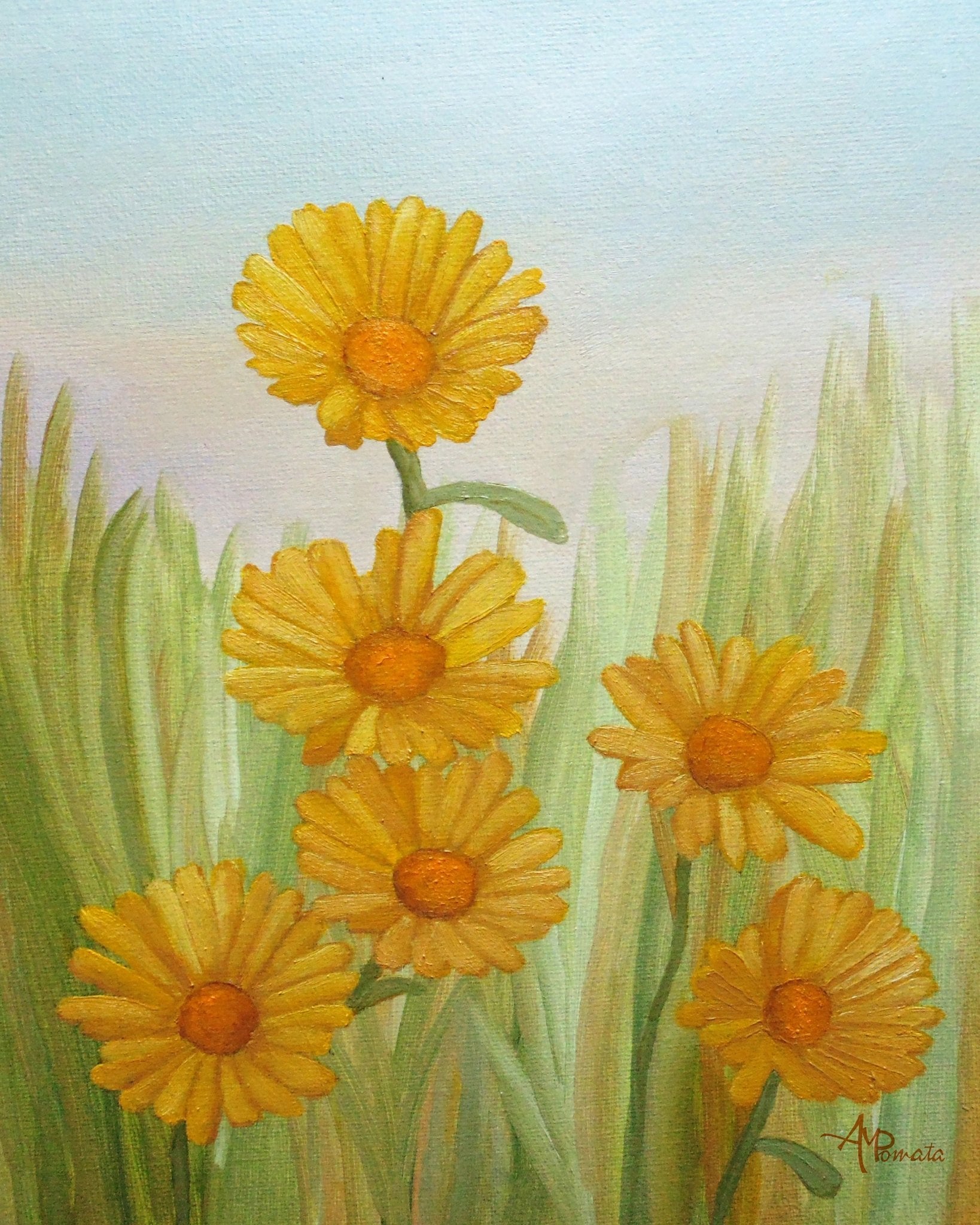 Yellow Daisy Meadow