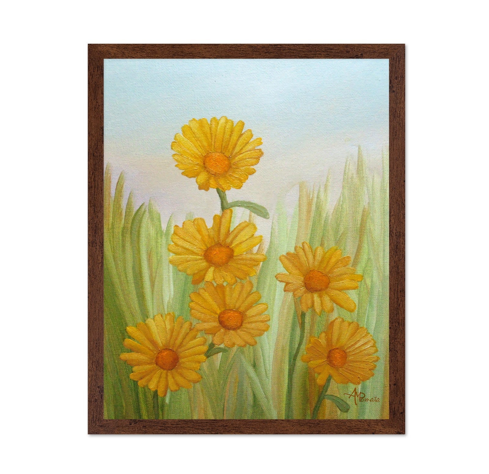 Yellow Daisy Meadow