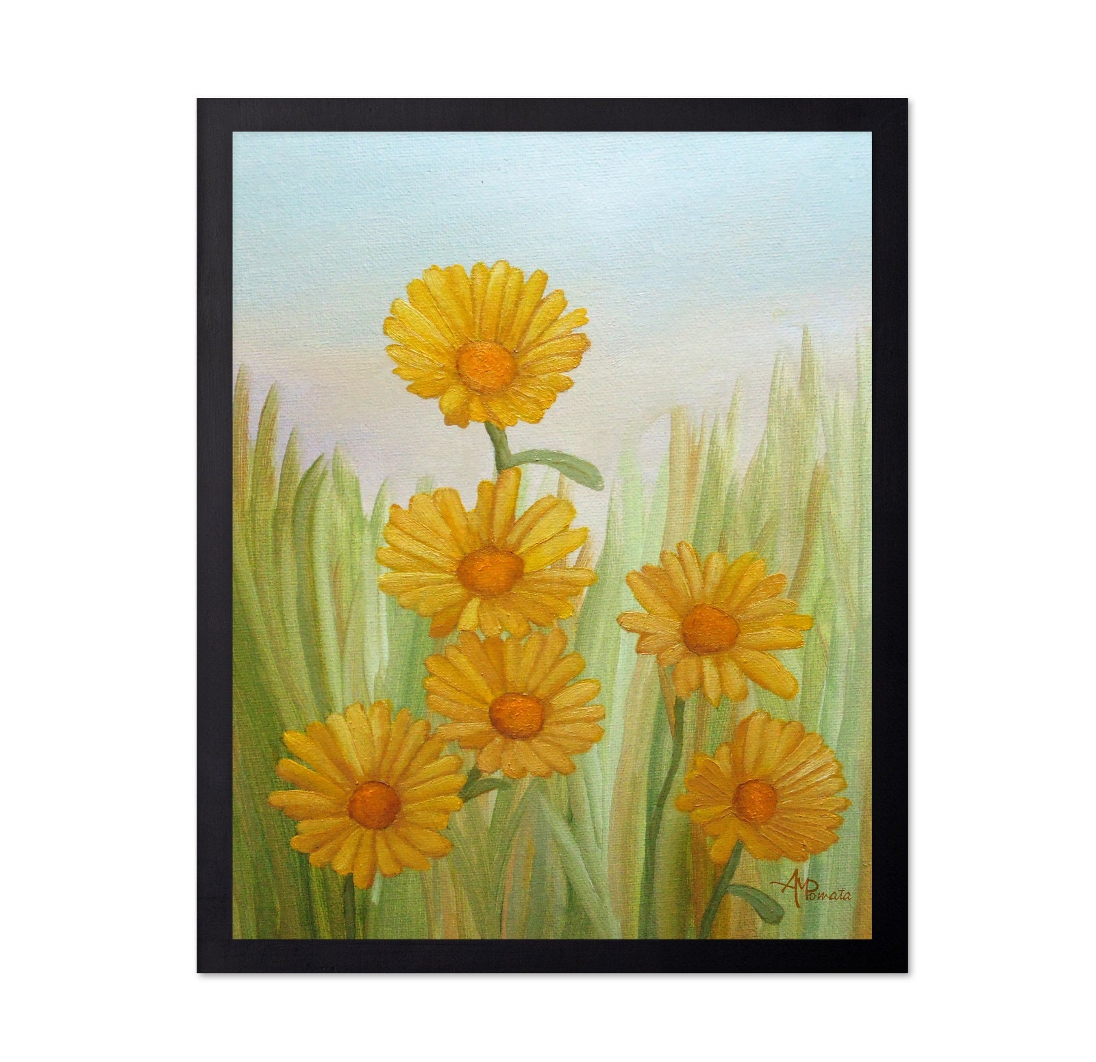 Yellow Daisy Meadow