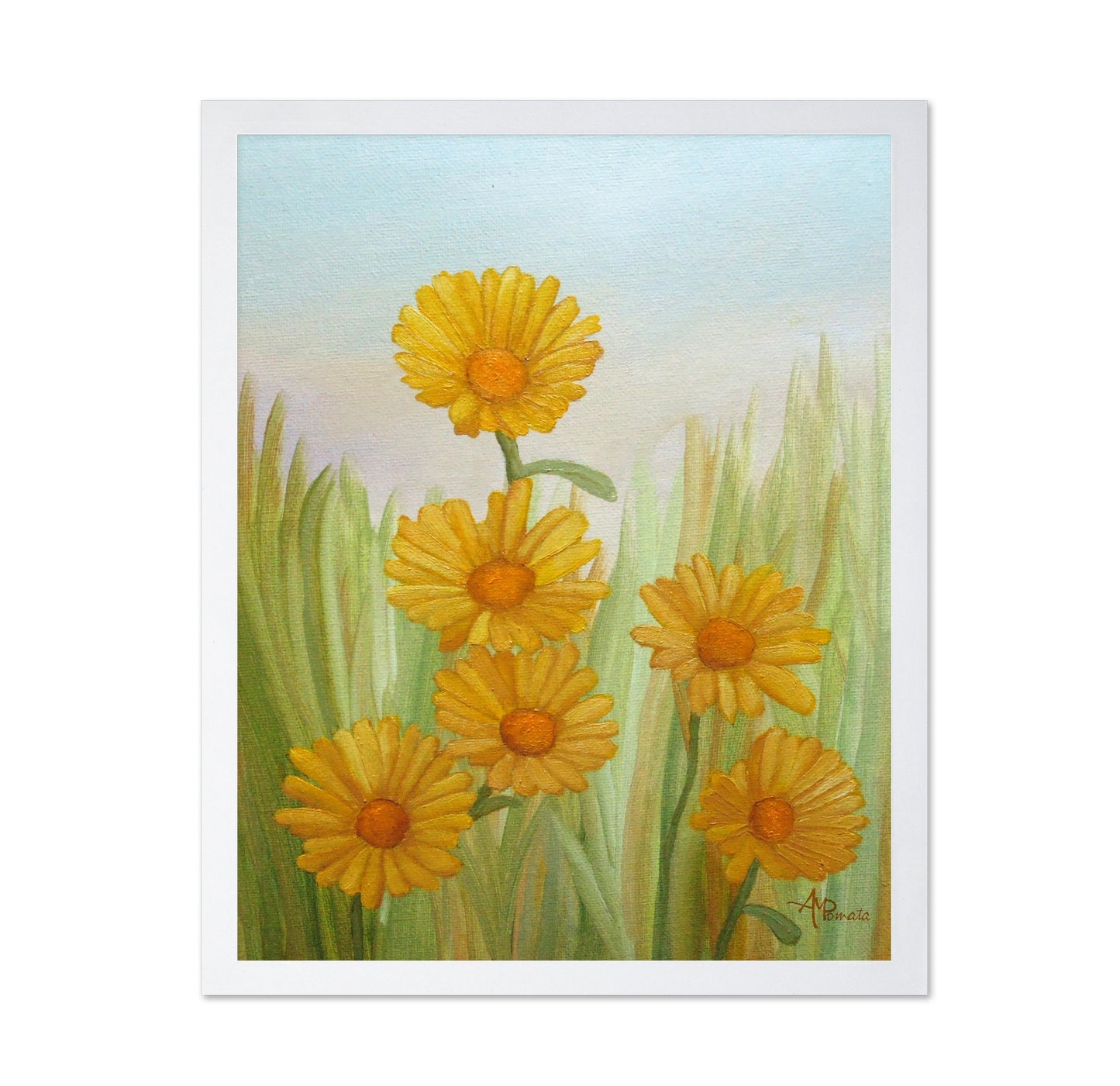 Yellow Daisy Meadow