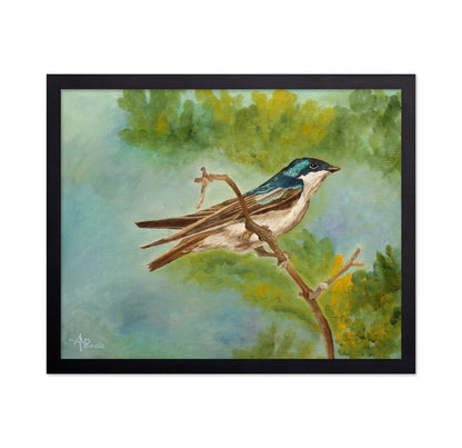 Blue Swallow Perched Branch
