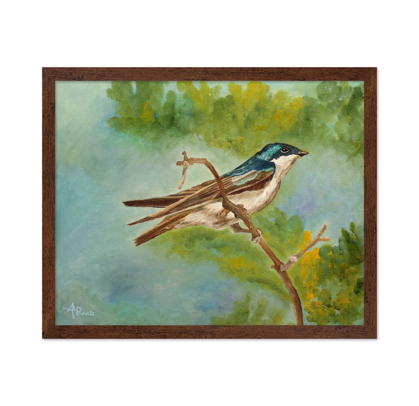 Blue Swallow Perched Branch