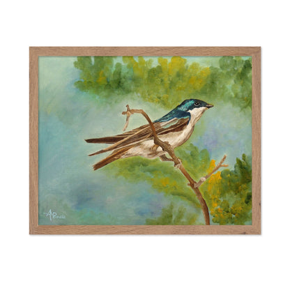 Blue Swallow Perched Branch