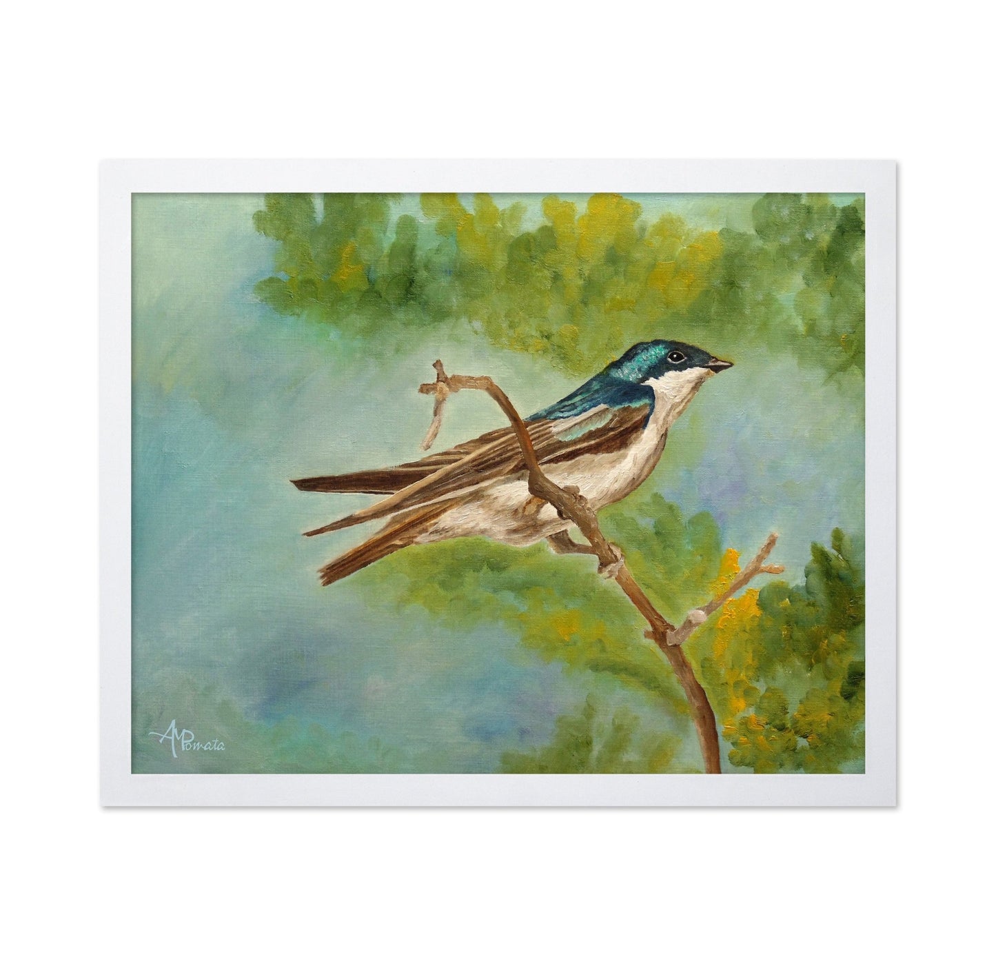 Blue Swallow Perched Branch