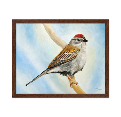 Red Crown Sparrow Bird