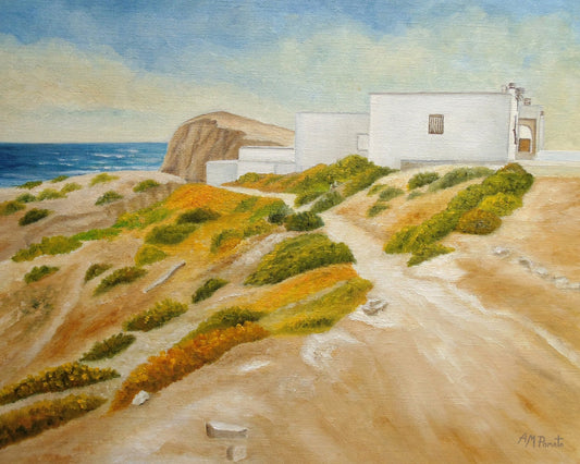 Coastal White House Cliff