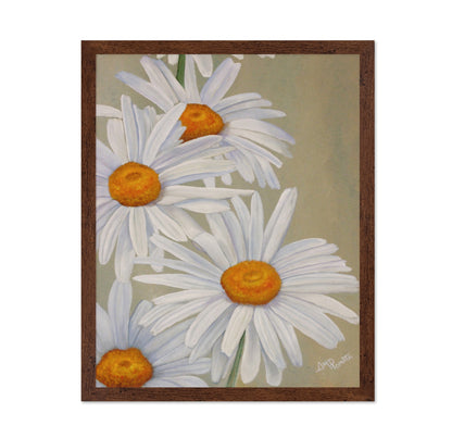 White Daisy Blooms
