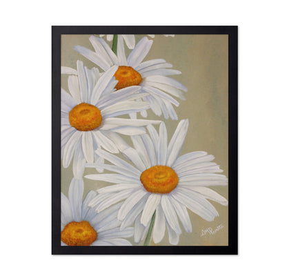 White Daisy Blooms