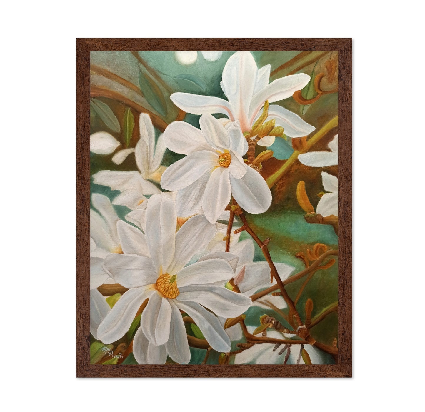 White Magnolia Blossoms