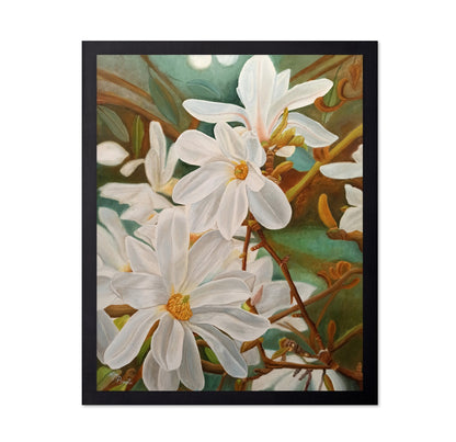 White Magnolia Blossoms