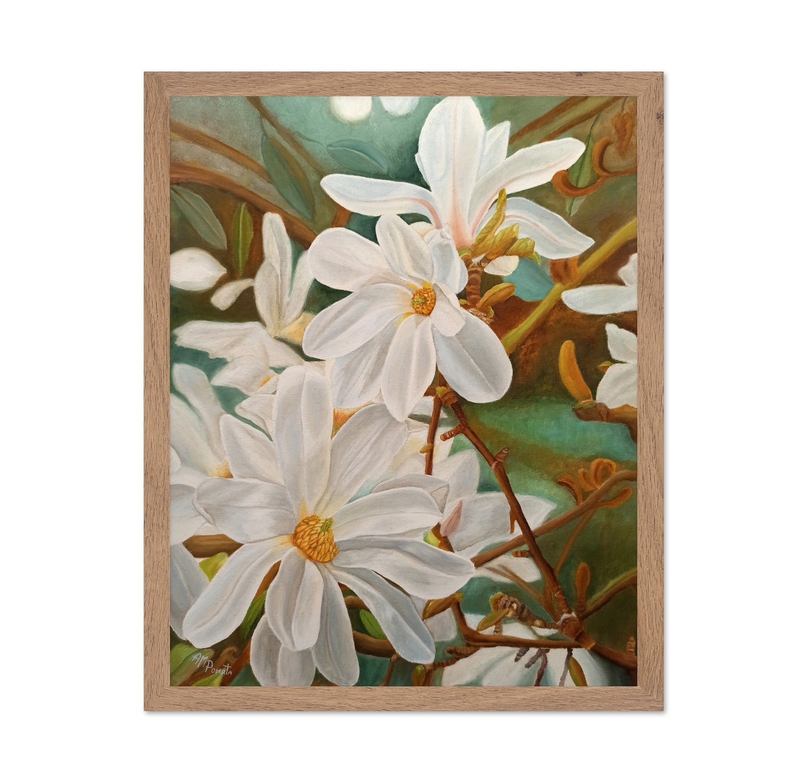 White Magnolia Blossoms
