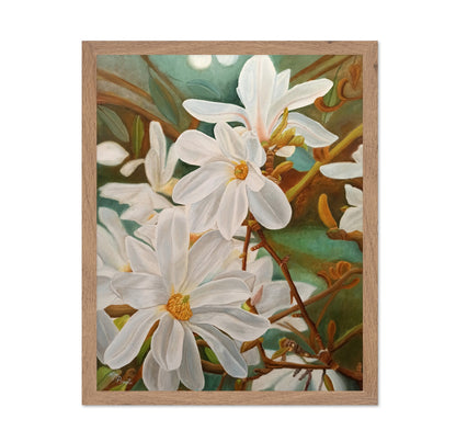White Magnolia Blossoms