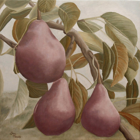Pears On Branch Still Life