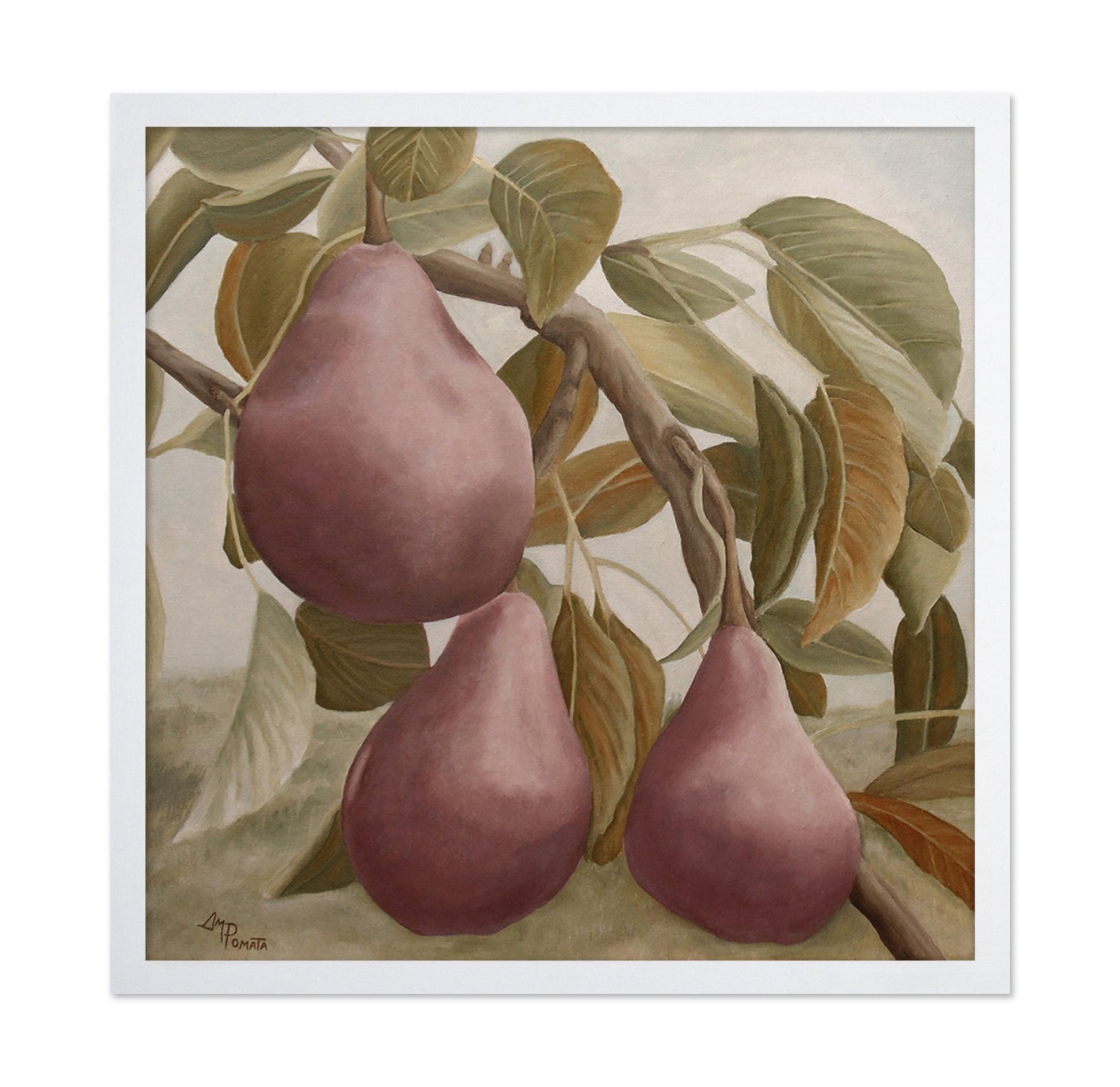 Pears On Branch Still Life