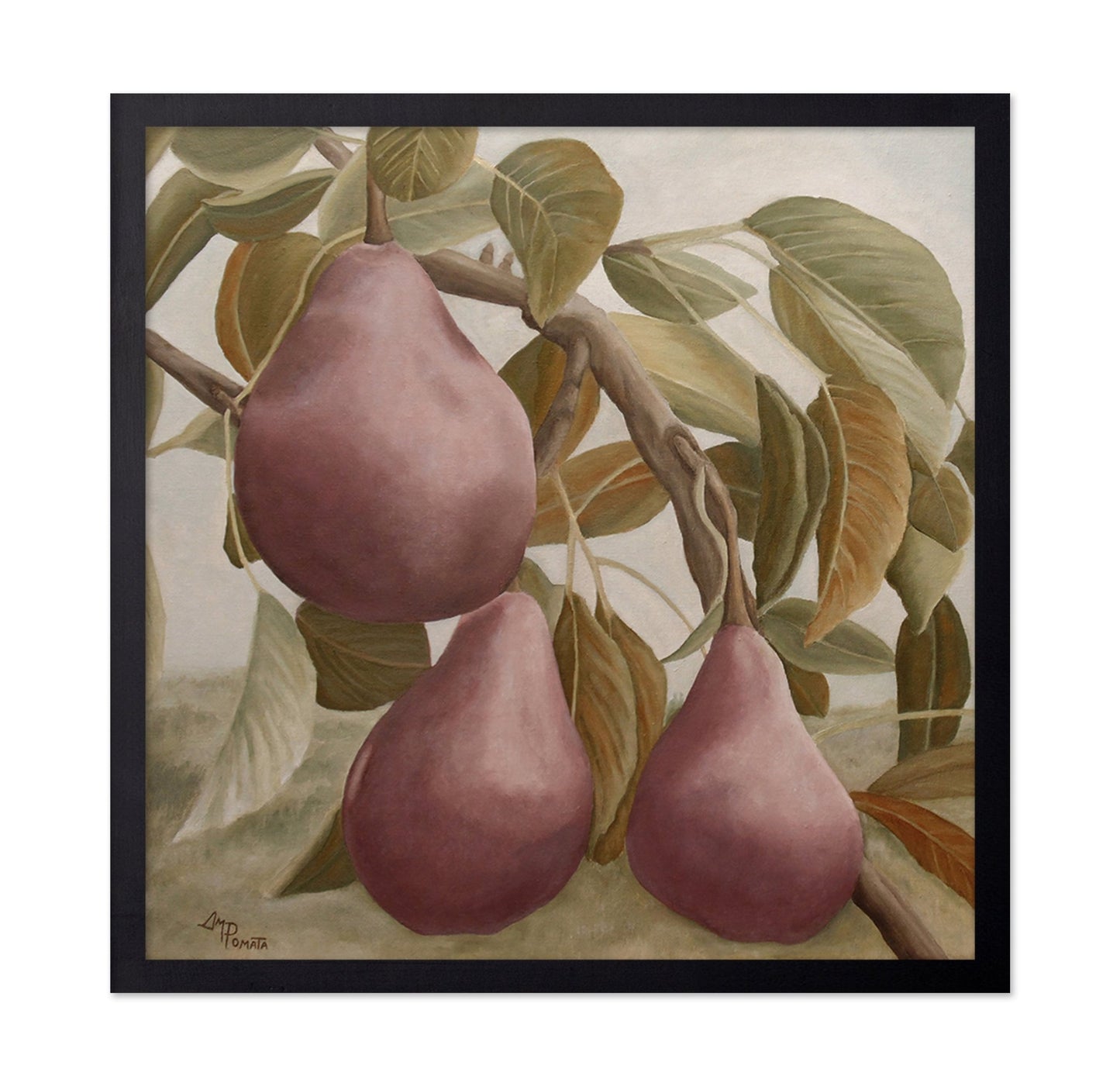 Pears On Branch Still Life