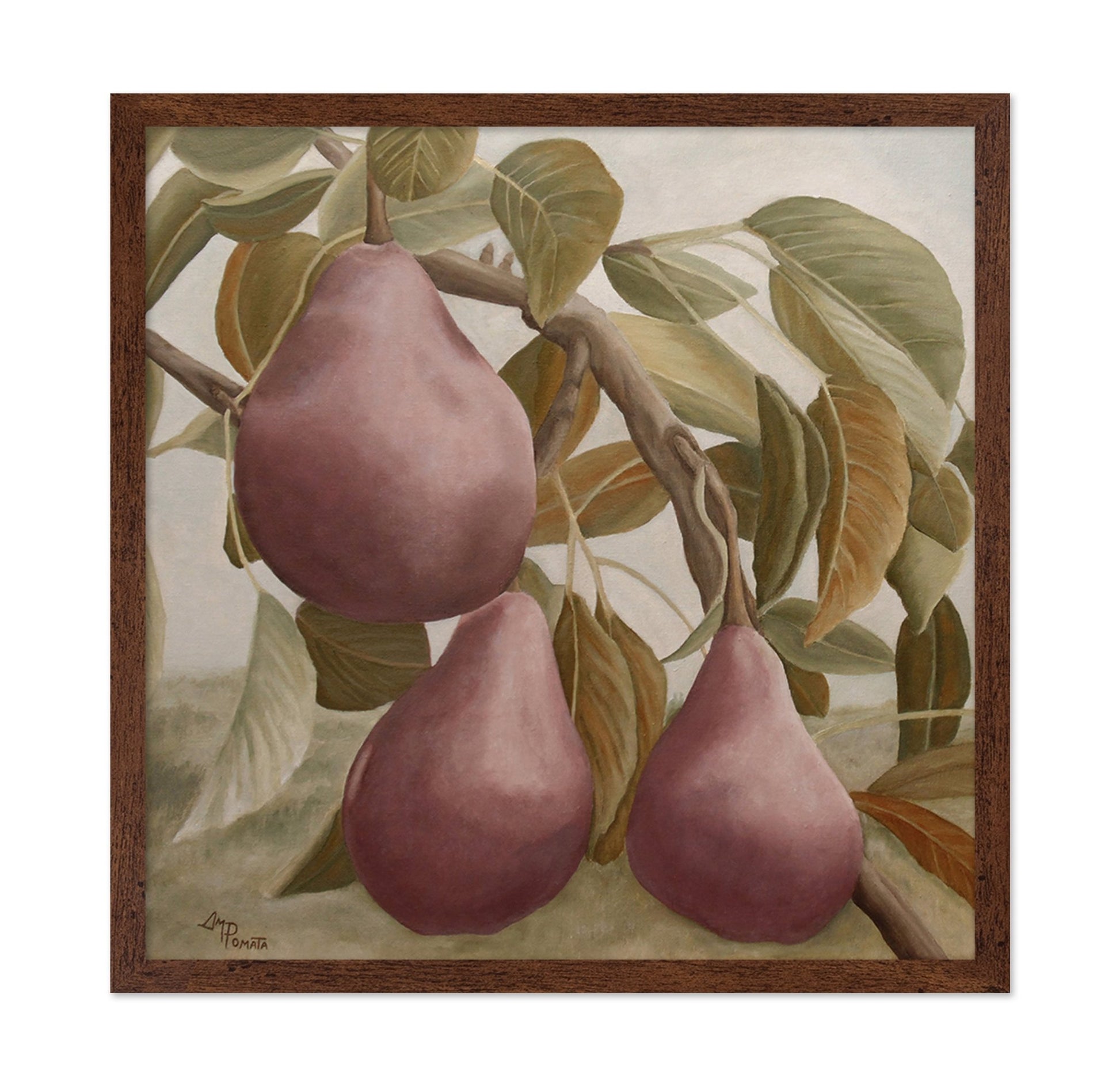 Pears On Branch Still Life