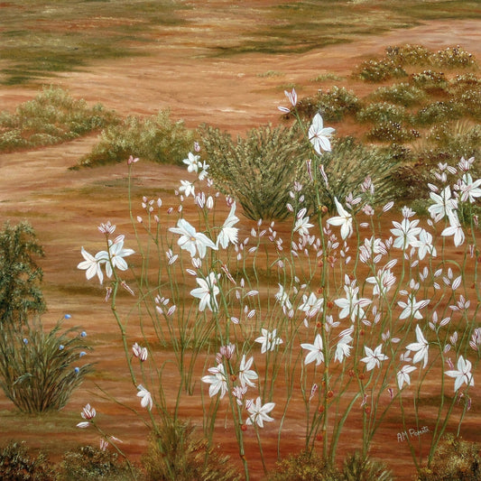 Desert Wildflowers Bloom