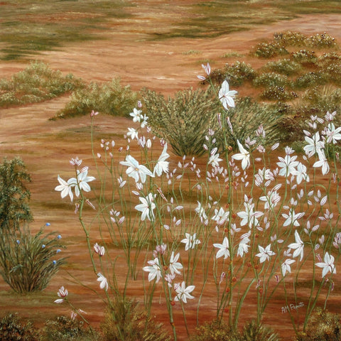 Desert Wildflowers Bloom