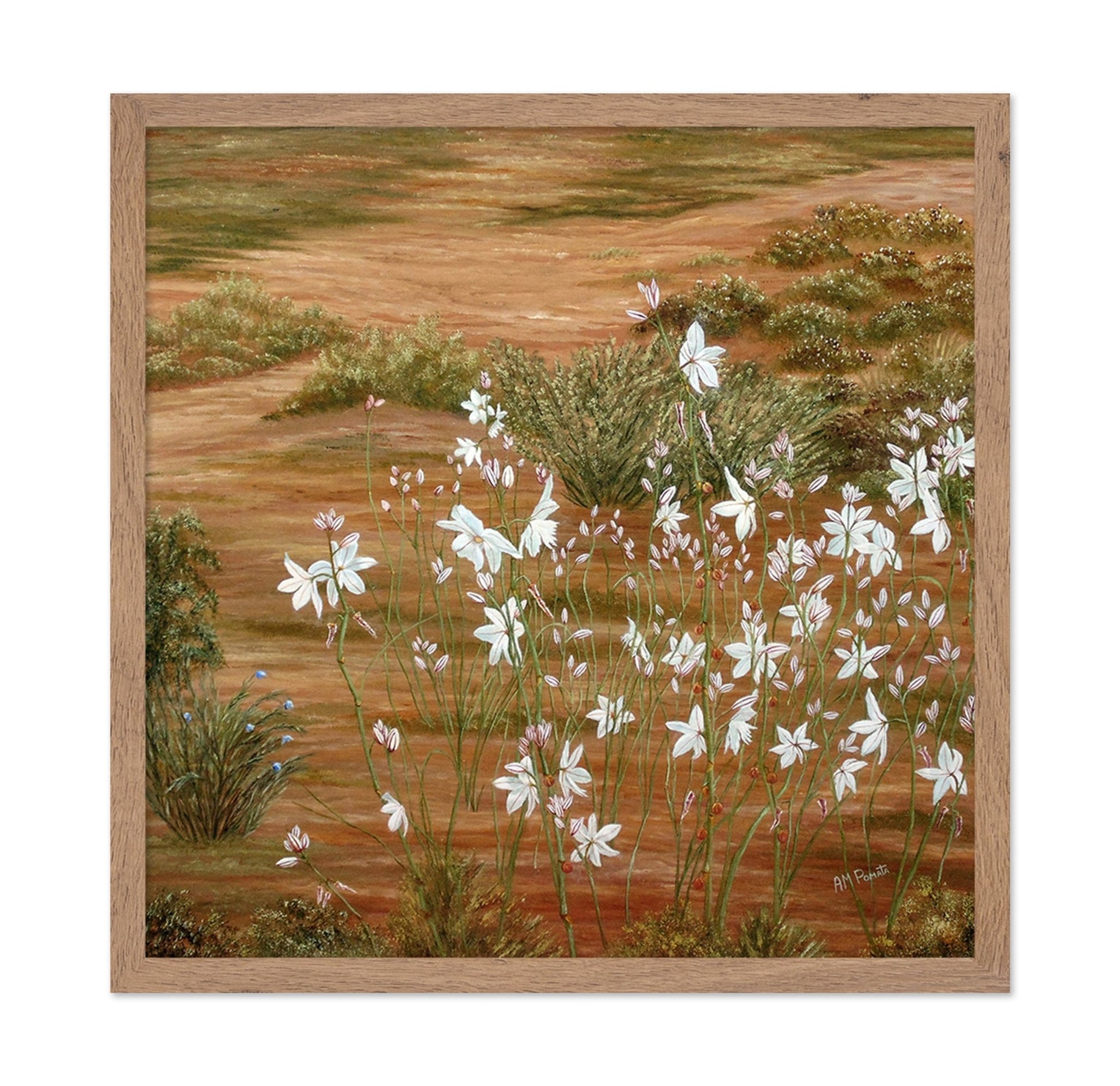 Desert Wildflowers Bloom