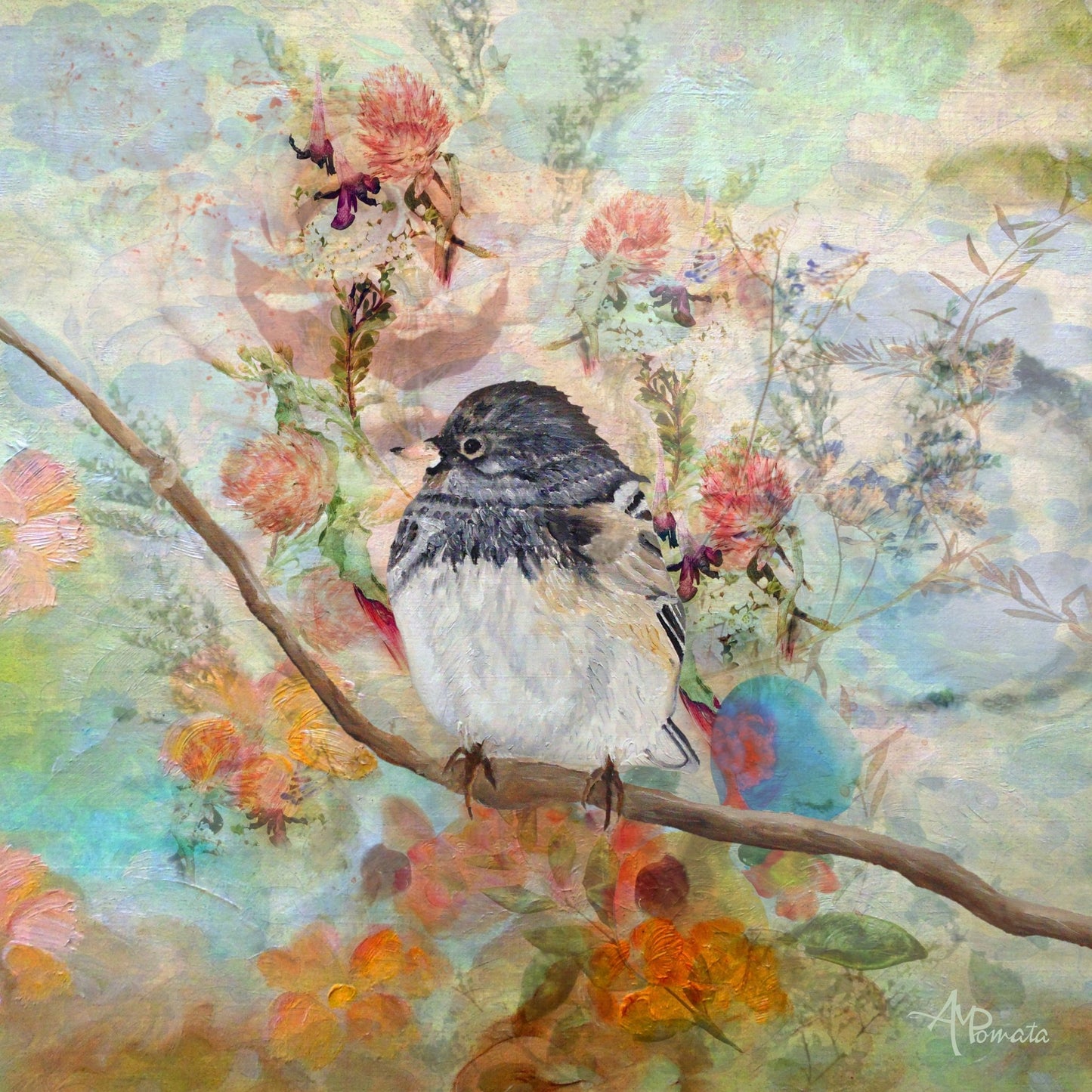 Songbird Floral Dream