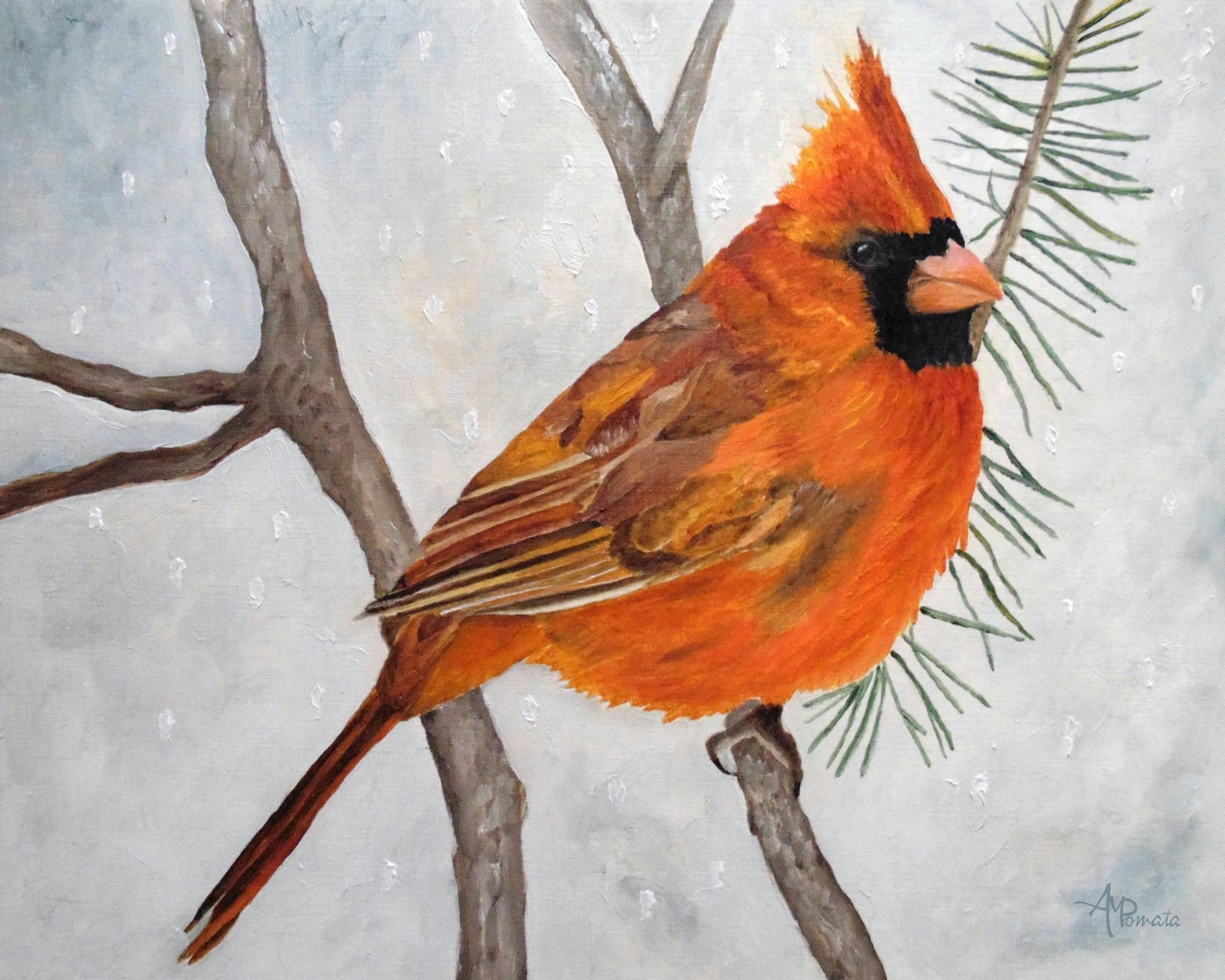 Winter Cardinal Perch