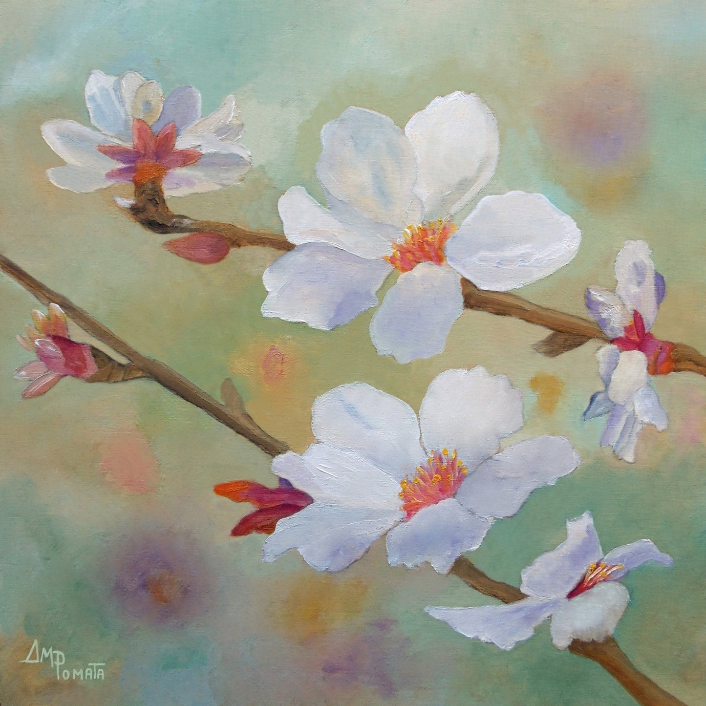 White Blossom Branch