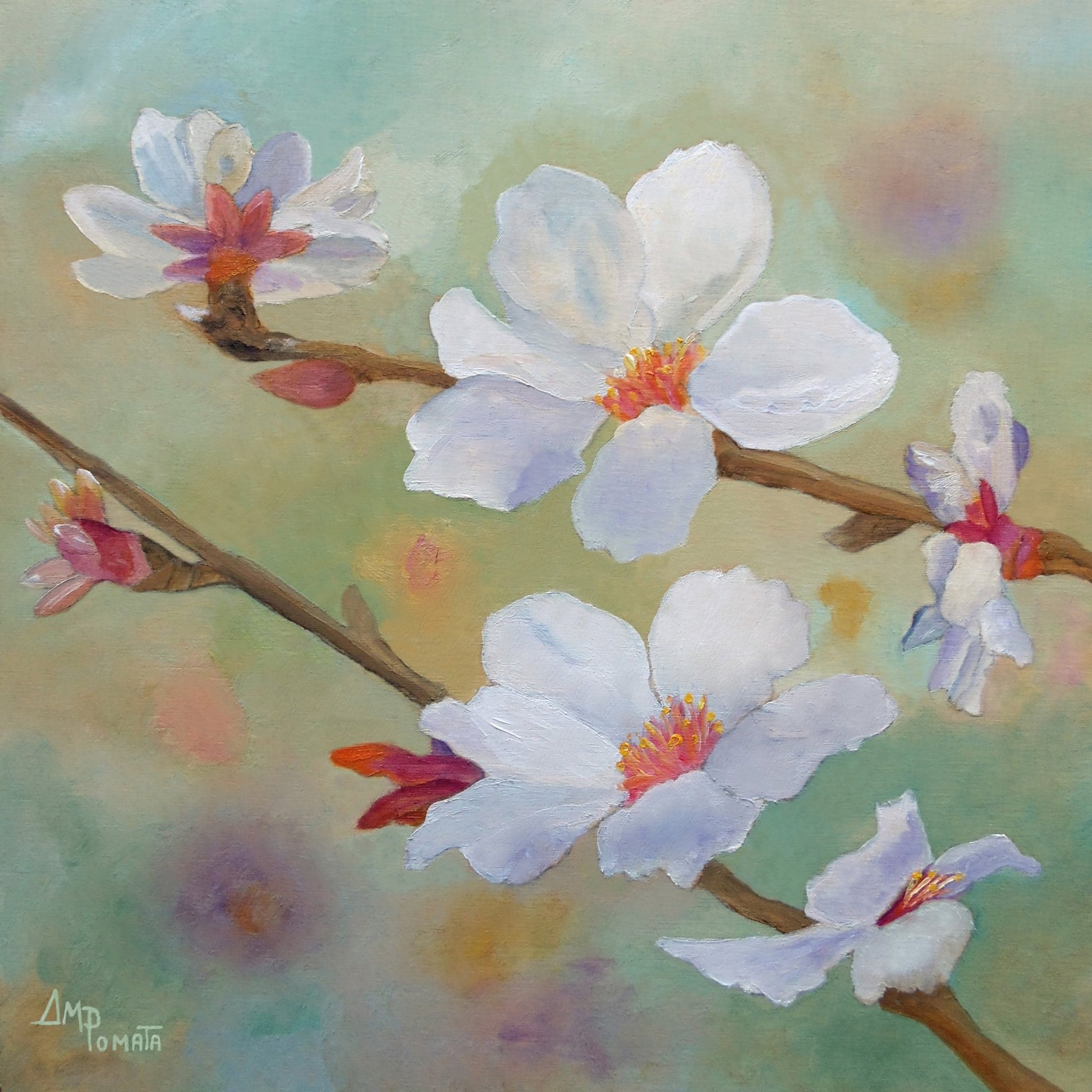 White Blossom Branch