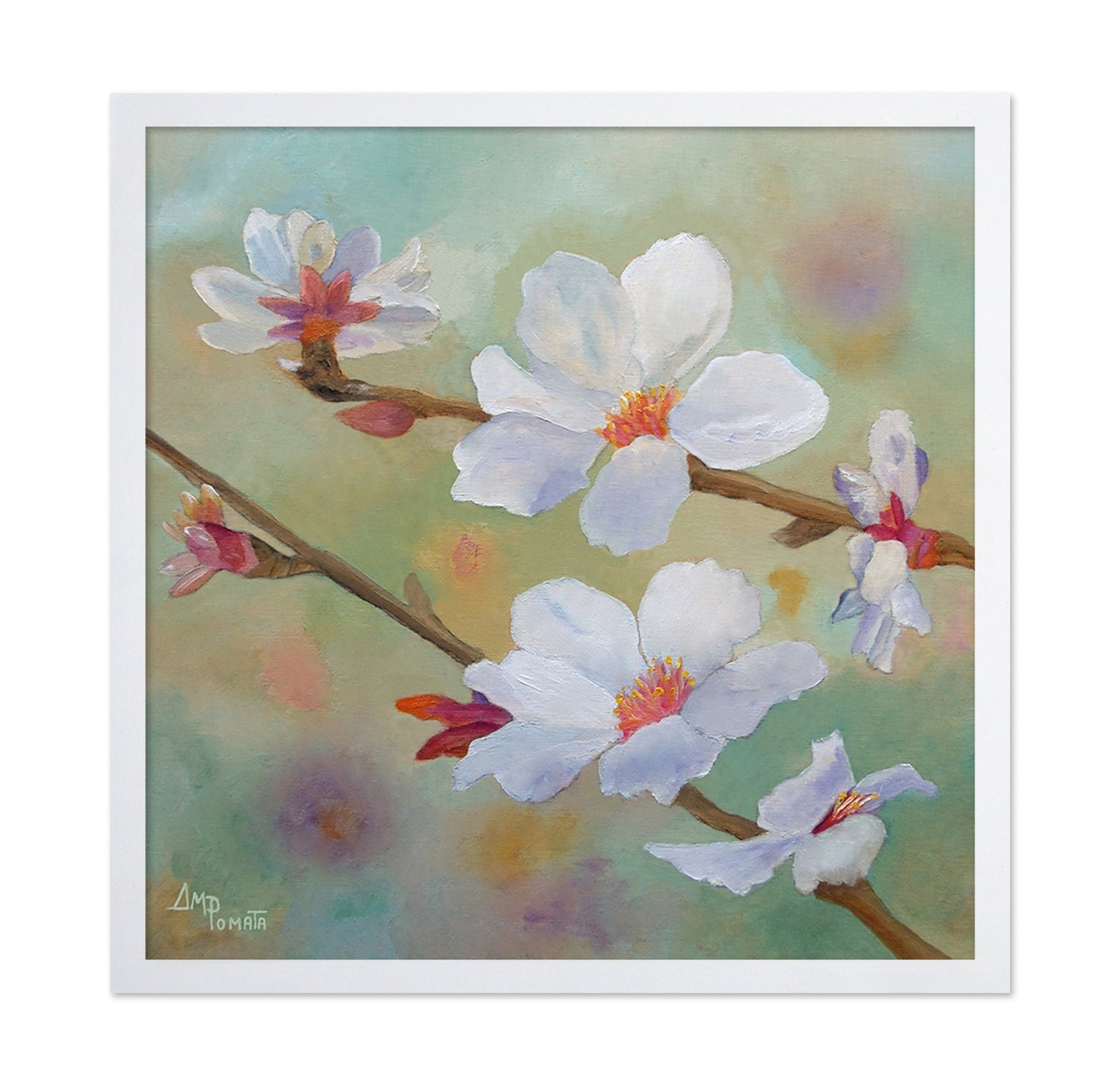 White Blossom Branch