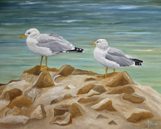 Seagulls on Coastal Rocks