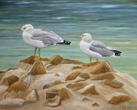 Seagulls on Coastal Rocks