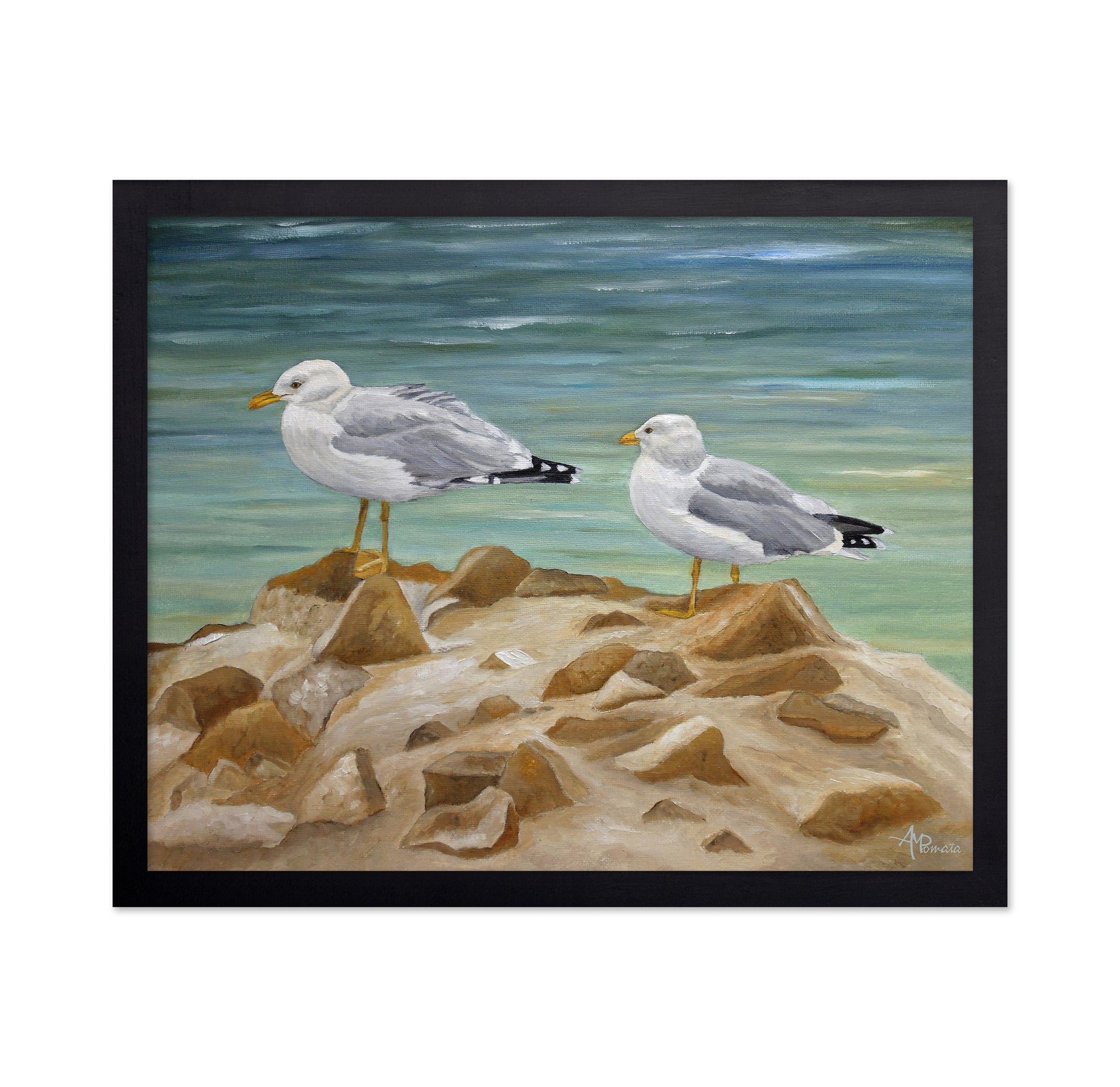 Seagulls on Coastal Rocks