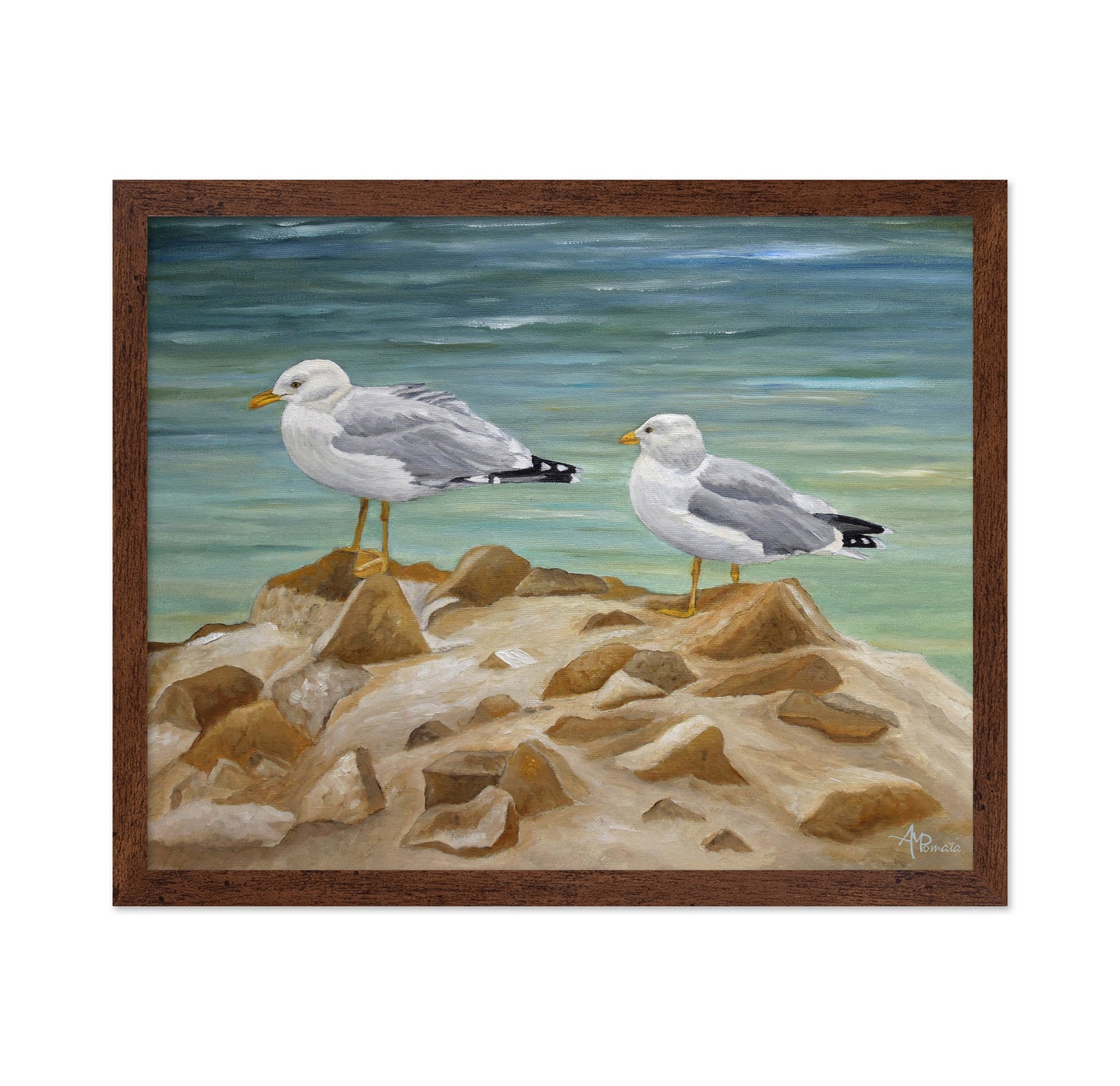 Seagulls on Coastal Rocks