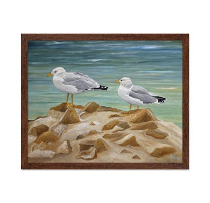 Seagulls on Coastal Rocks