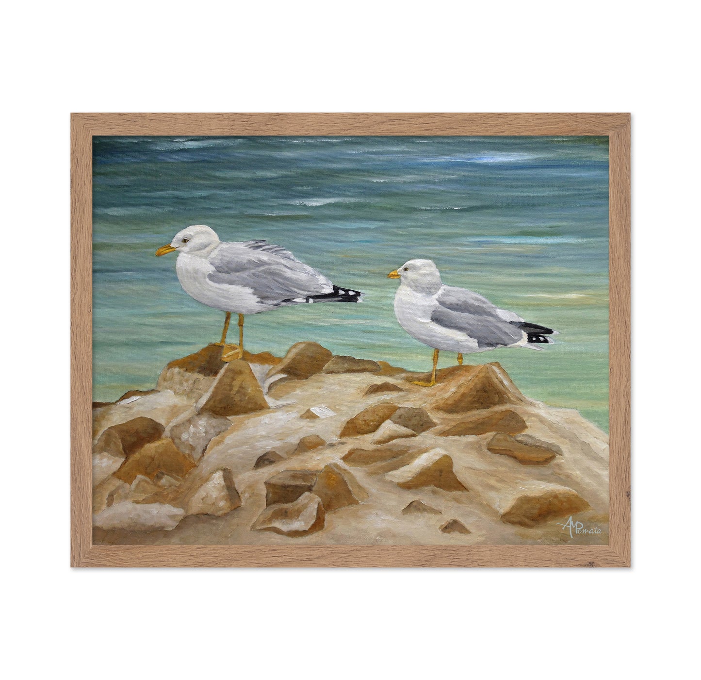 Seagulls on Coastal Rocks