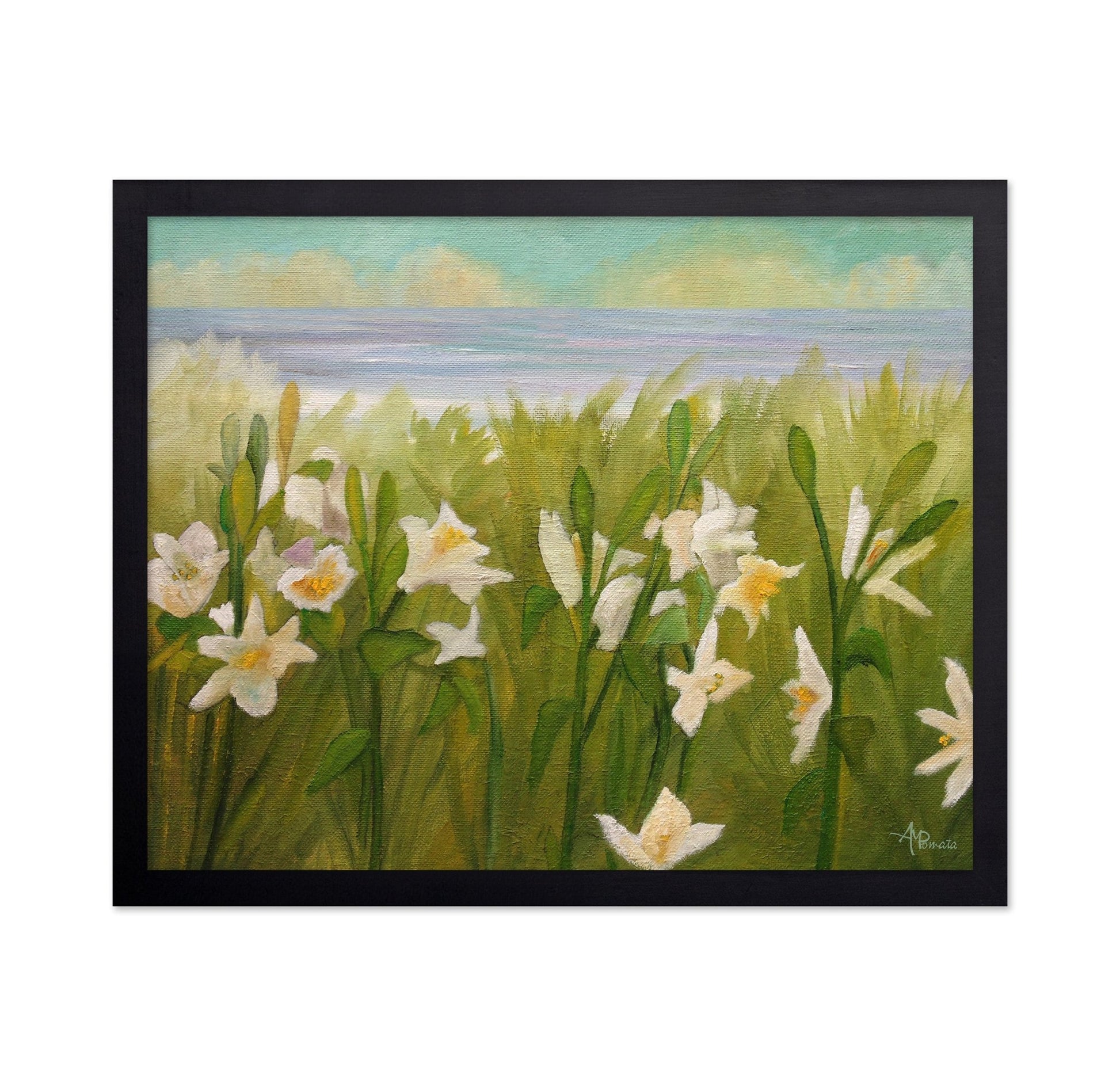 Coastal White Daffodils