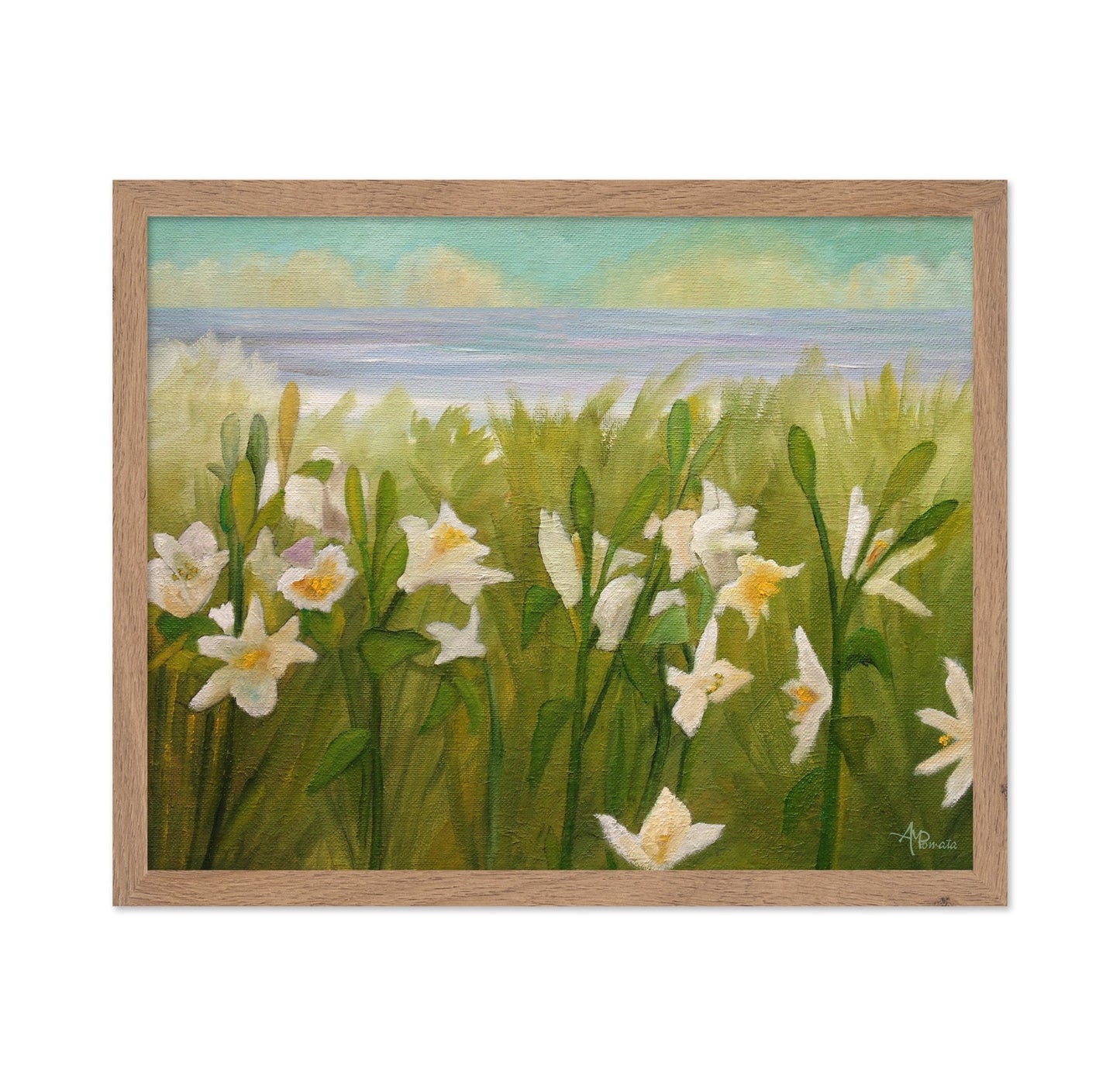 Coastal White Daffodils