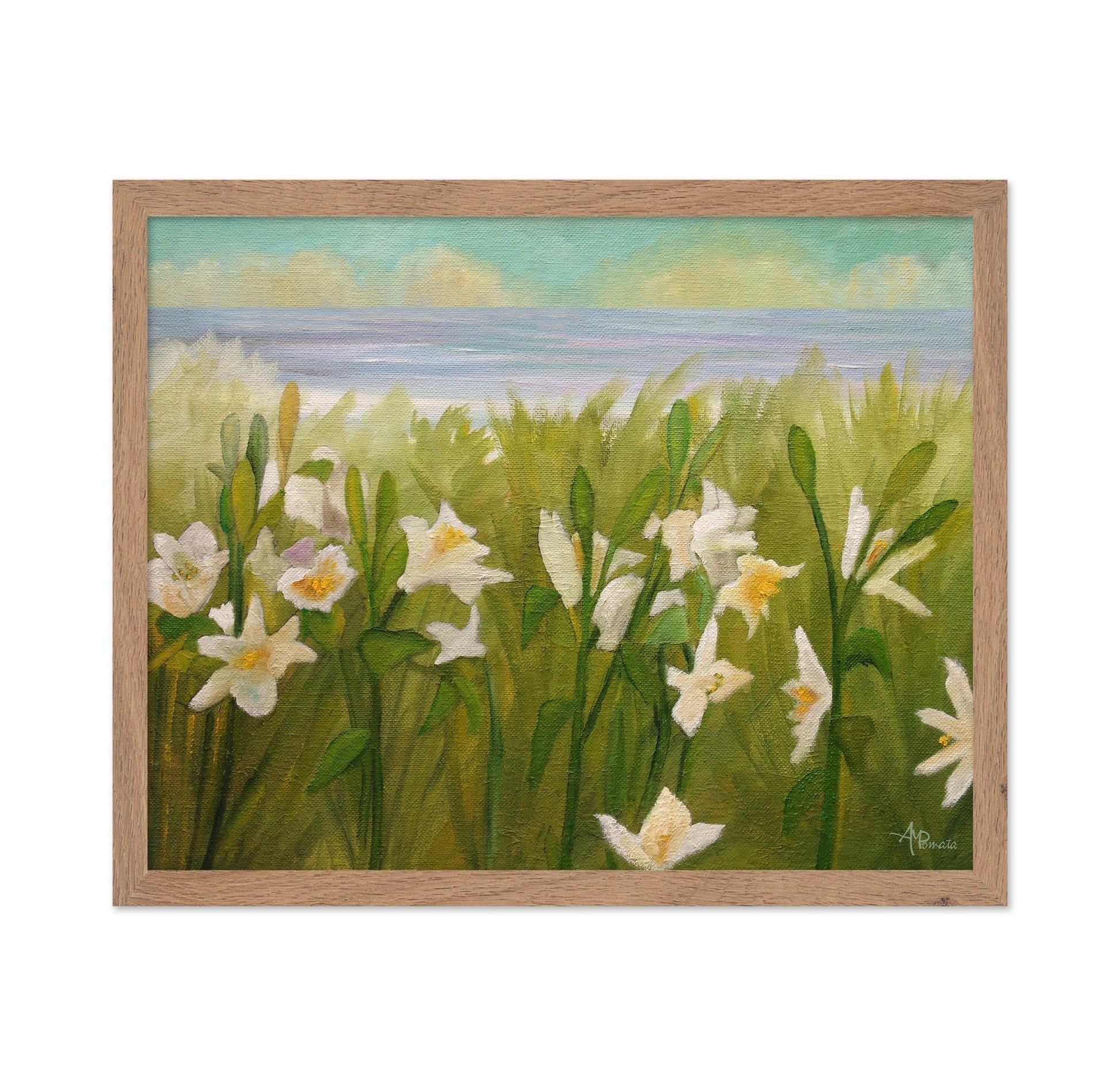 Coastal White Daffodils
