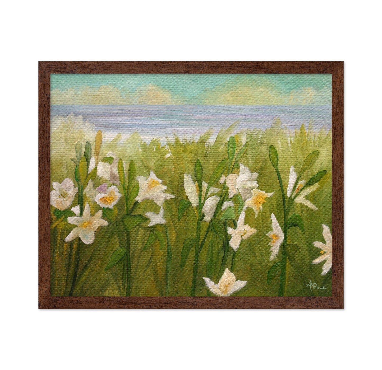 Coastal White Daffodils
